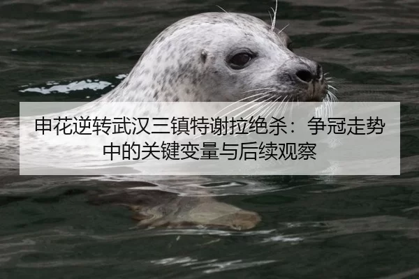 申花逆转武汉三镇特谢拉绝杀：争冠走势中的关键变量与后续观察